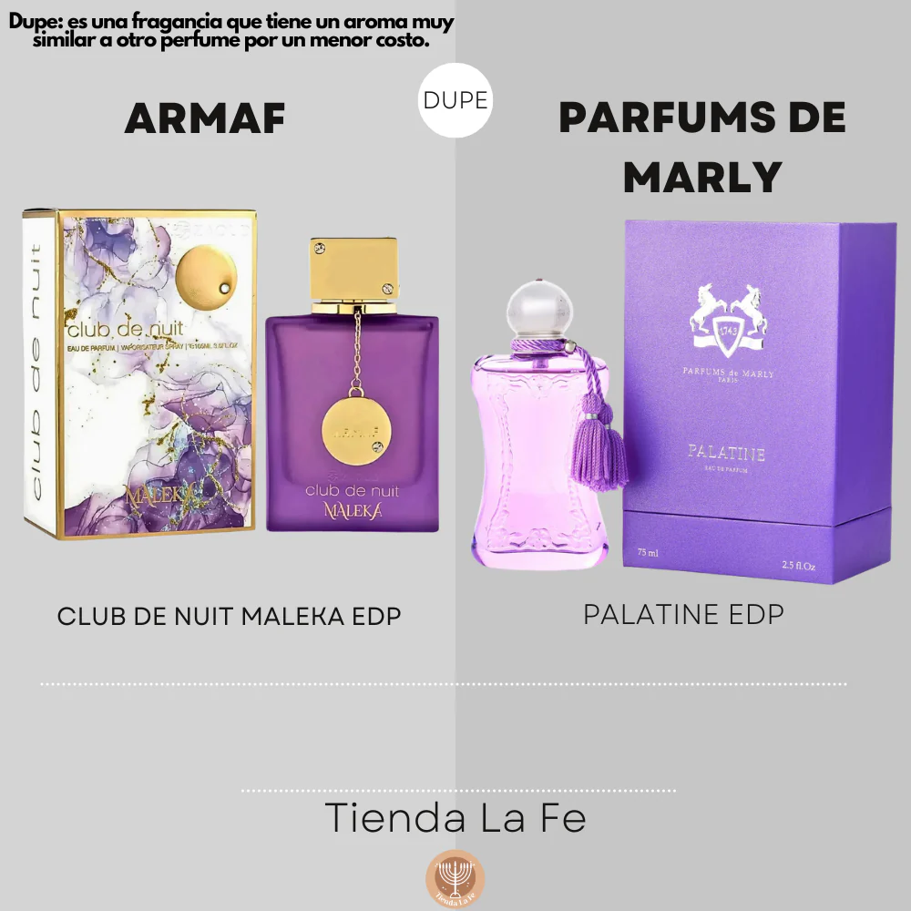 Armaf CDN Maleka Women 105ml EDP